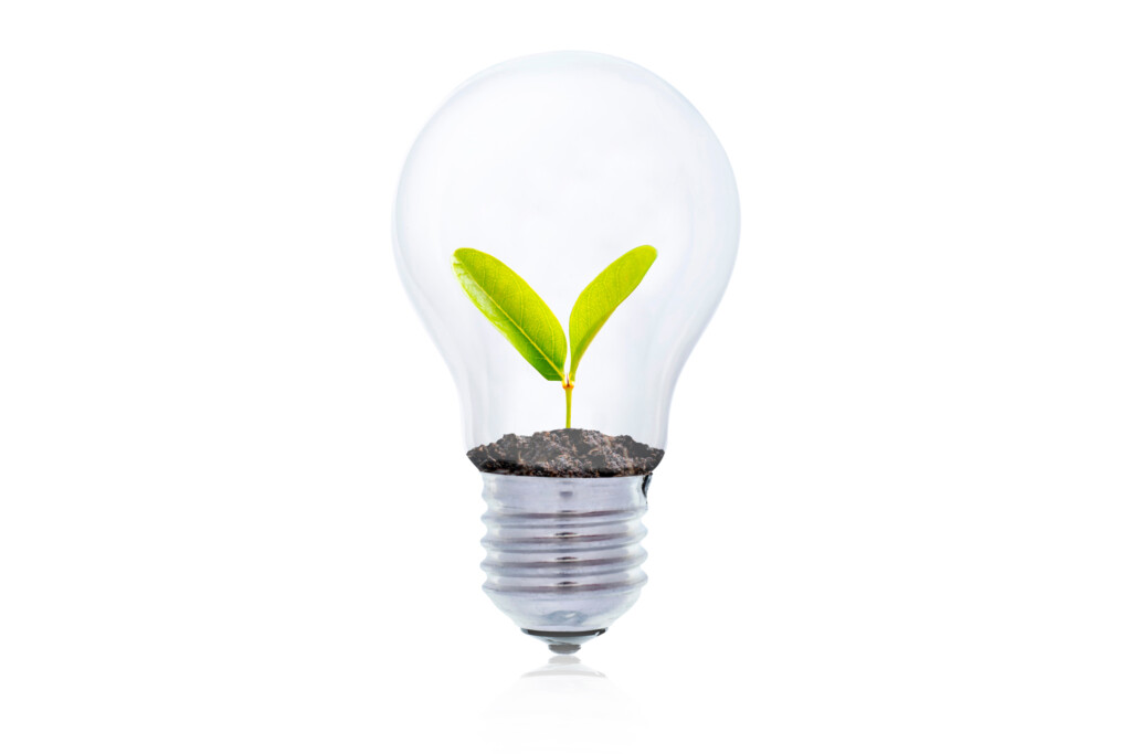 Cartadis - Le développement durable - ampoule