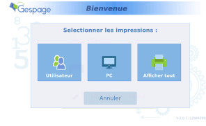 Cartadis - Terminal à écran tactile de contrôle d’accès et de gestion d’imprimantes et de multifonctions - home sceen cpad